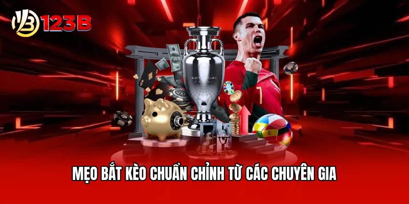 Mẹo bắt kèo chuẩn chỉnh từ các chuyên gia